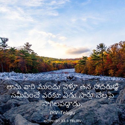 Picture 03 - ఆదికాండం 33:3 TELIRV - తాను వారి ముందు - Bible Verse Picture