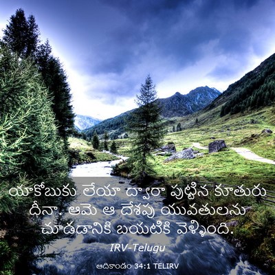 Picture 03 - ఆదికాండం 34:1 TELIRV - యాకోబుకు లేయా - Bible Verse Picture