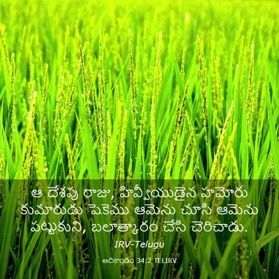 Picture 03 - ఆదికాండం 34:2 TELIRV - ఆ దేశపు రాజు, - Bible Verse Picture