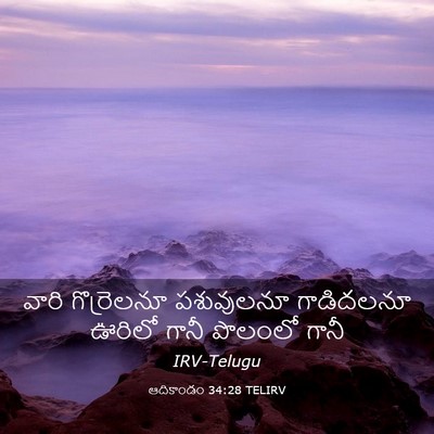 Picture 03 - ఆదికాండం 34:28 TELIRV - వారి గొర్రెలనూ - Bible Verse Picture