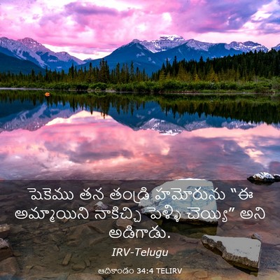 Picture 03 - ఆదికాండం 34:4 TELIRV - షెకెము తన తండ్రి - Bible Verse Picture