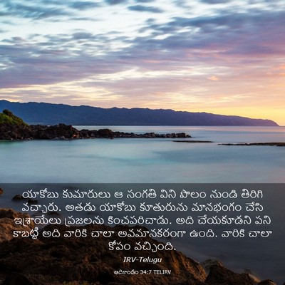 Picture 03 - ఆదికాండం 34:7 TELIRV - యాకోబు కుమారులు ఆ - Bible Verse Picture