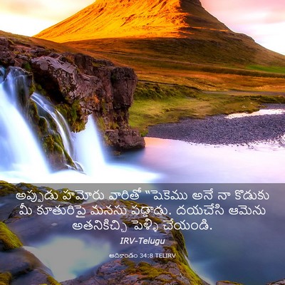 Picture 03 - ఆదికాండం 34:8 TELIRV - అప్పుడు హమోరు - Bible Verse Picture
