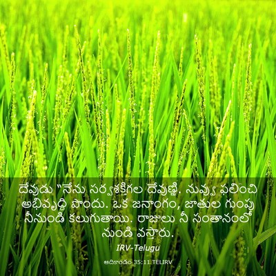 Picture 03 - ఆదికాండం 35:11 TELIRV - దేవుడు “నేను - Bible Verse Picture