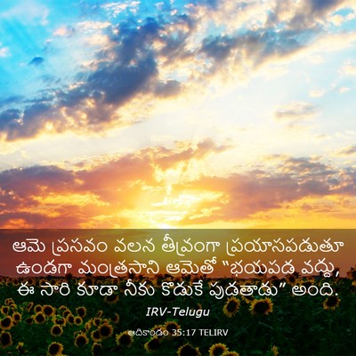 Picture 03 - ఆదికాండం 35:17 TELIRV - ఆమె ప్రసవం వలన - Bible Verse Picture