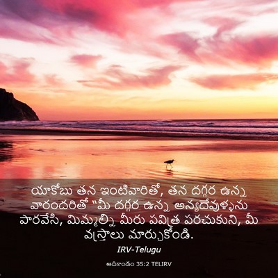 Picture 03 - ఆదికాండం 35:2 TELIRV - యాకోబు తన - Bible Verse Picture