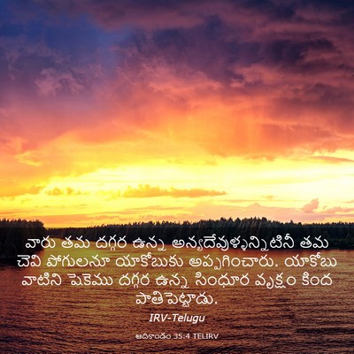 Picture 03 - ఆదికాండం 35:4 TELIRV - వారు తమ దగ్గర ఉన్న - Bible Verse Picture