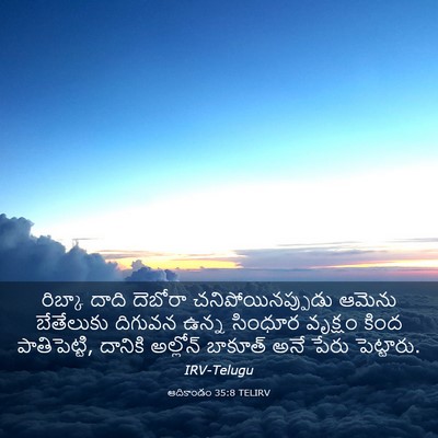 Picture 03 - ఆదికాండం 35:8 TELIRV - రిబ్కా దాది - Bible Verse Picture