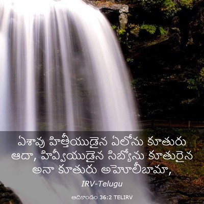 Picture 03 - ఆదికాండం 36:2 TELIRV - ఏశావు హిత్తీయుడైన - Bible Verse Picture