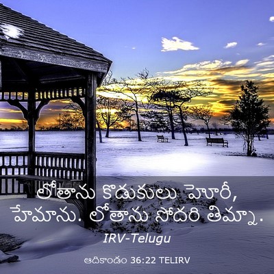 Picture 03 - ఆదికాండం 36:22 TELIRV - లోతాను కొడుకులు - Bible Verse Picture