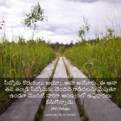 Picture 03 - ఆదికాండం 36:24 TELIRV - సిబ్యోను కొడుకులు - Bible Verse Picture