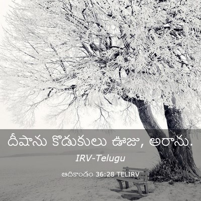 Picture 03 - ఆదికాండం 36:28 TELIRV - దీషాను కొడుకులు - Bible Verse Picture