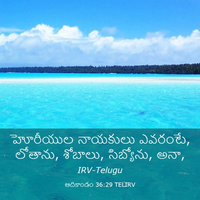 Picture 03 - ఆదికాండం 36:29 TELIRV - హోరీయుల నాయకులు - Bible Verse Picture