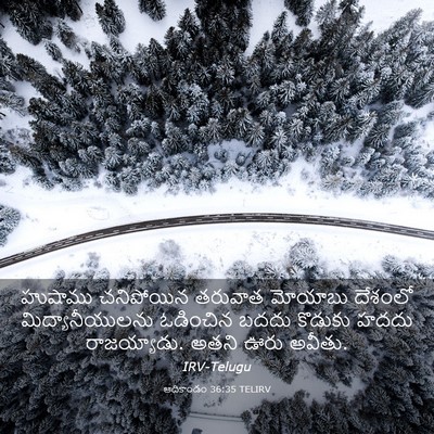 Picture 03 - ఆదికాండం 36:35 TELIRV - హుషాము చనిపోయిన - Bible Verse Picture