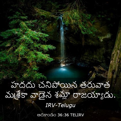 Picture 03 - ఆదికాండం 36:36 TELIRV - హదదు చనిపోయిన - Bible Verse Picture