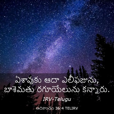 Picture 03 - ఆదికాండం 36:4 TELIRV - ఏశావుకు ఆదా - Bible Verse Picture
