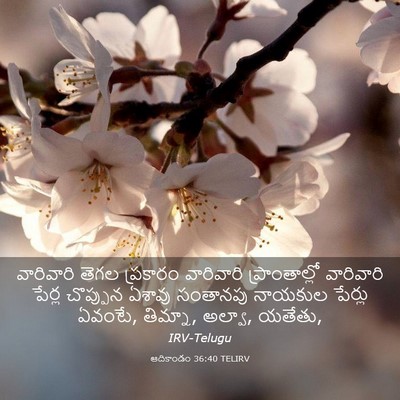 Picture 03 - ఆదికాండం 36:40 TELIRV - వారివారి తెగల - Bible Verse Picture