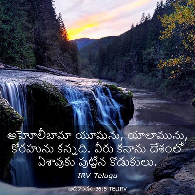 Picture 03 - ఆదికాండం 36:5 TELIRV - అహోలీబామా యూషును, - Bible Verse Picture