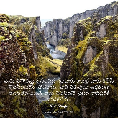 Picture 03 - ఆదికాండం 36:7 TELIRV - వారు విస్తారమైన - Bible Verse Picture