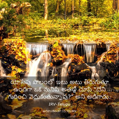 Picture 03 - ఆదికాండం 37:15 TELIRV - యోసేపు పొలంలో ఇటు - Bible Verse Picture