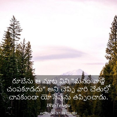 Picture 03 - ఆదికాండం 37:21 TELIRV - రూబేను ఆ మాట విని - Bible Verse Picture