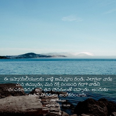 Picture 03 - ఆదికాండం 37:27 TELIRV - ఈ ఇష్మాయేలీయులకు - Bible Verse Picture
