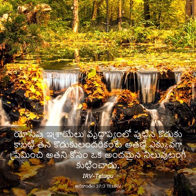 Picture 03 - ఆదికాండం 37:3 TELIRV - యోసేపు ఇశ్రాయేలు - Bible Verse Picture