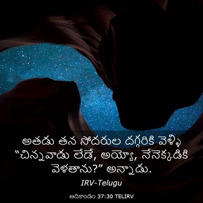 Picture 03 - ఆదికాండం 37:30 TELIRV - అతడు తన సోదరుల - Bible Verse Picture