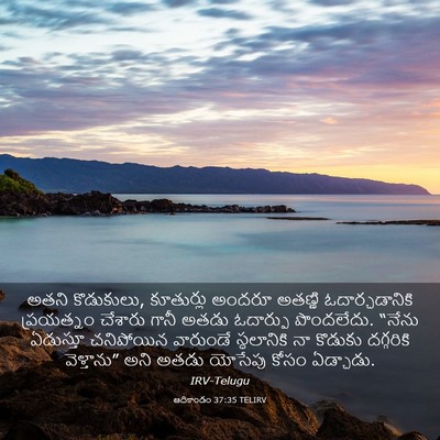 Picture 03 - ఆదికాండం 37:35 TELIRV - అతని కొడుకులు, - Bible Verse Picture