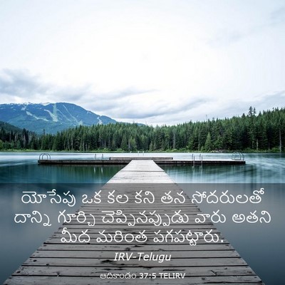 Picture 03 - ఆదికాండం 37:5 TELIRV - యోసేపు ఒక కల కని తన - Bible Verse Picture