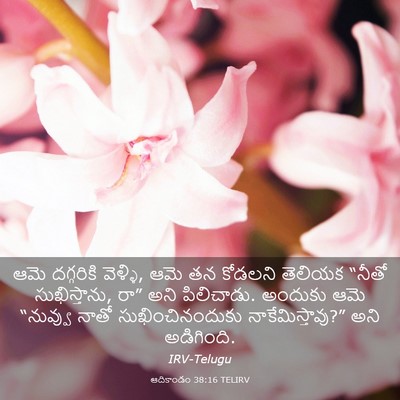 Picture 03 - ఆదికాండం 38:16 TELIRV - ఆమె దగ్గరికి - Bible Verse Picture