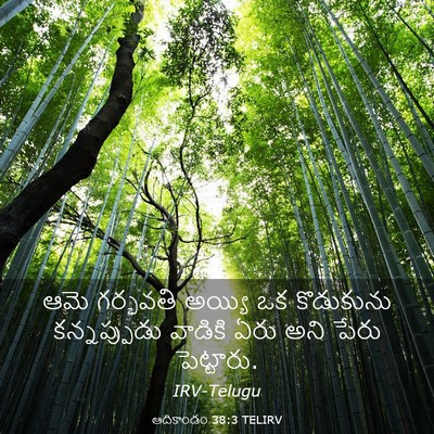 Picture 03 - ఆదికాండం 38:3 TELIRV - ఆమె గర్భవతి అయ్యి - Bible Verse Picture