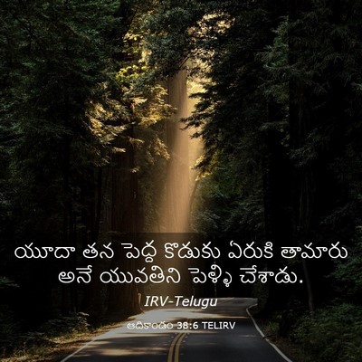 Picture 03 - ఆదికాండం 38:6 TELIRV - యూదా తన పెద్ద - Bible Verse Picture