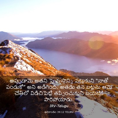 Picture 03 - ఆదికాండం 39:12 TELIRV - అప్పుడామె అతని పై - Bible Verse Picture