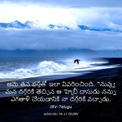 Picture 03 - ఆదికాండం 39:17 TELIRV - ఆమె తన భర్తతో ఇలా - Bible Verse Picture