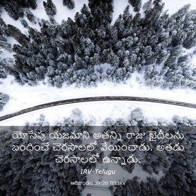 Picture 03 - ఆదికాండం 39:20 TELIRV - యోసేపు యజమాని - Bible Verse Picture