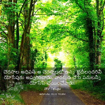 Picture 03 - ఆదికాండం 39:22 TELIRV - చెరసాల అధిపతి ఆ - Bible Verse Picture