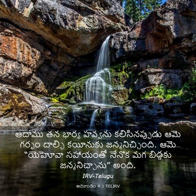 Picture 03 - ఆదికాండం 4:1 TELIRV - ఆదాము తన భార్య - Bible Verse Picture