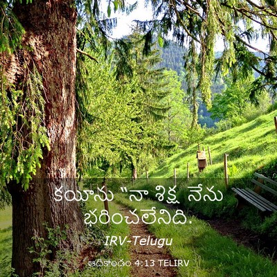Picture 03 - ఆదికాండం 4:13 TELIRV - కయీను “నా శిక్ష - Bible Verse Picture
