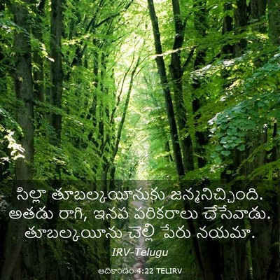 Picture 03 - ఆదికాండం 4:22 TELIRV - సిల్లా - Bible Verse Picture