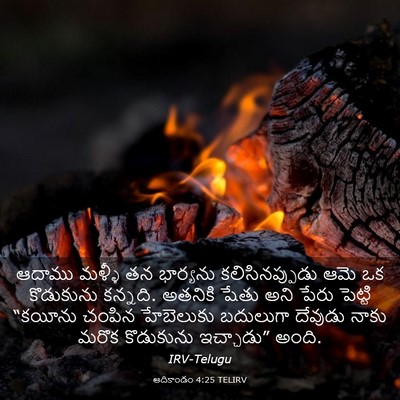 Picture 03 - ఆదికాండం 4:25 TELIRV - ఆదాము మళ్ళీ తన - Bible Verse Picture