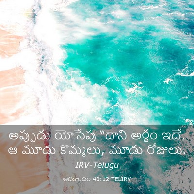 Picture 03 - ఆదికాండం 40:12 TELIRV - అప్పుడు యోసేపు - Bible Verse Picture