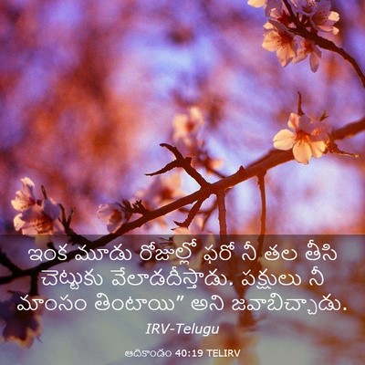 Picture 03 - ఆదికాండం 40:19 TELIRV - ఇంక మూడు రోజుల్లో - Bible Verse Picture