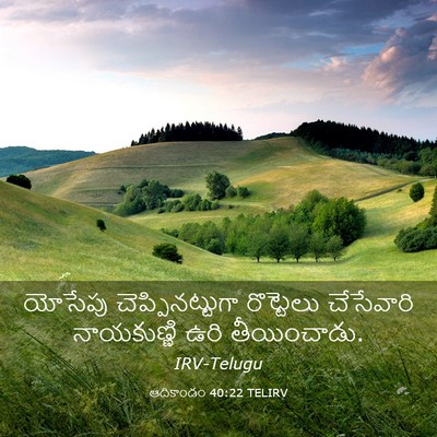 Picture 03 - ఆదికాండం 40:22 TELIRV - యోసేపు - Bible Verse Picture