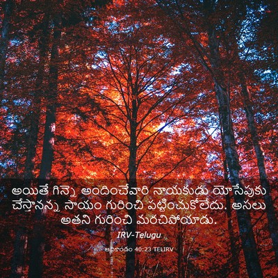 Picture 03 - ఆదికాండం 40:23 TELIRV - అయితే గిన్నె - Bible Verse Picture
