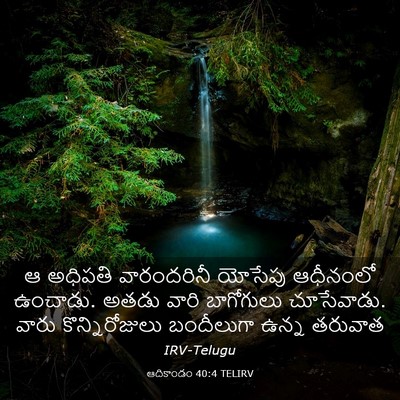 Picture 03 - ఆదికాండం 40:4 TELIRV - ఆ అధిపతి - Bible Verse Picture