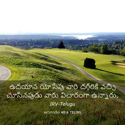 Picture 03 - ఆదికాండం 40:6 TELIRV - ఉదయాన యోసేపు వారి - Bible Verse Picture