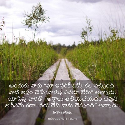 Picture 03 - ఆదికాండం 40:8 TELIRV - అందుకు వారు “మా - Bible Verse Picture