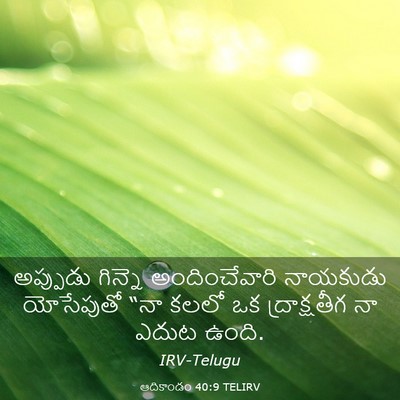 Picture 03 - ఆదికాండం 40:9 TELIRV - అప్పుడు గిన్నె - Bible Verse Picture