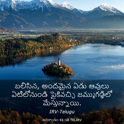 Picture 03 - ఆదికాండం 41:18 TELIRV - బలిసిన, అందమైన ఏడు - Bible Verse Picture
